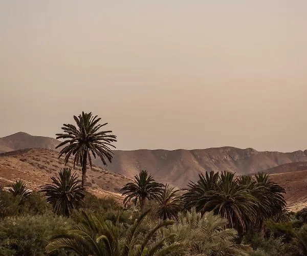 דירה Casa Checa 1 *